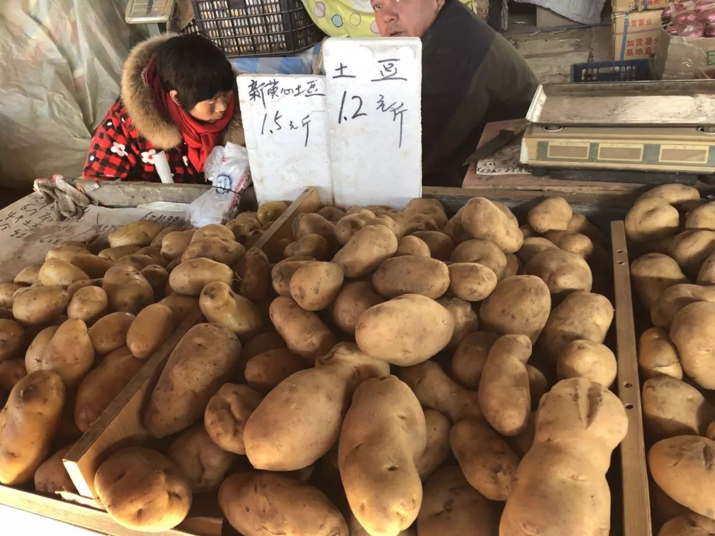 农业土豆生产管理系统